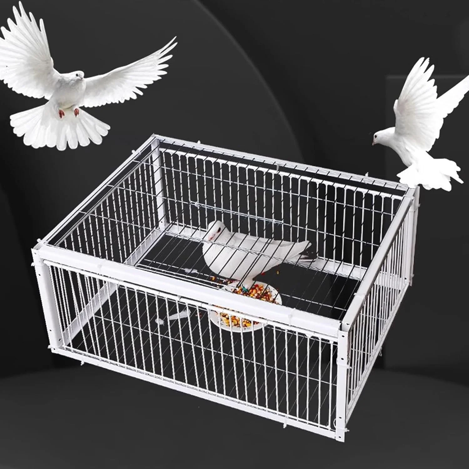 Piège intelligent pour attraper les oiseaux et les pigeons